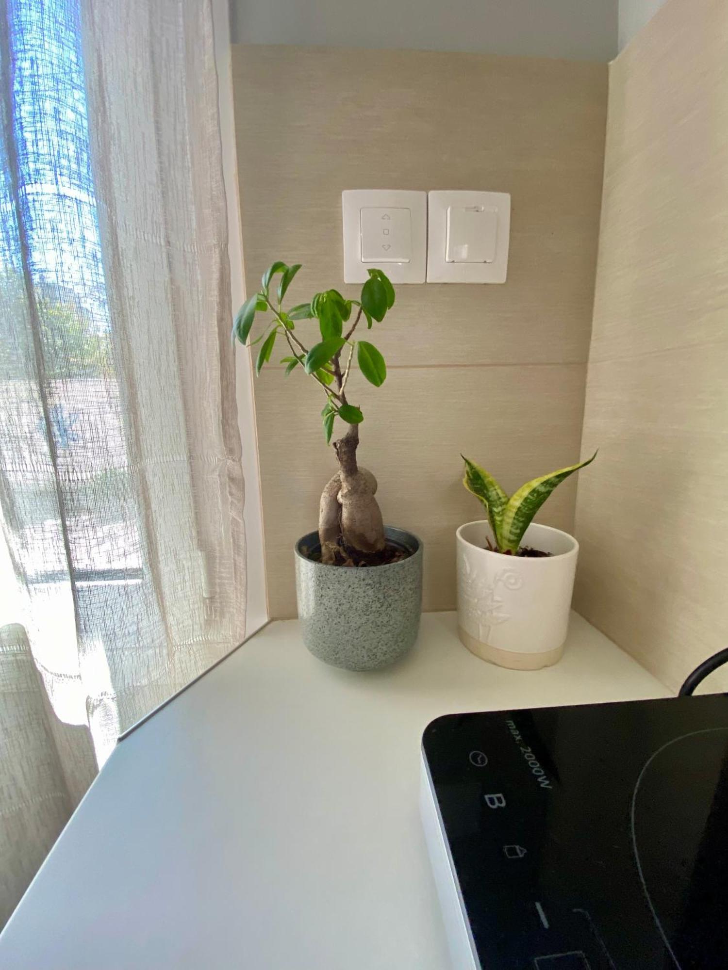 Xrysa'S Central City Apartment Missolonghi Екстер'єр фото